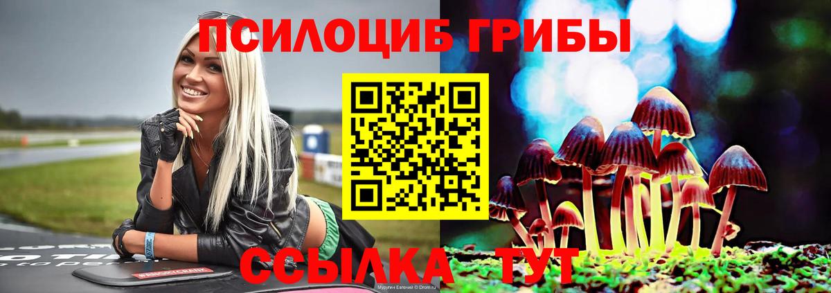 Псков  Галлюциногенные грибы Magic Shrooms  Вход с VPN 
